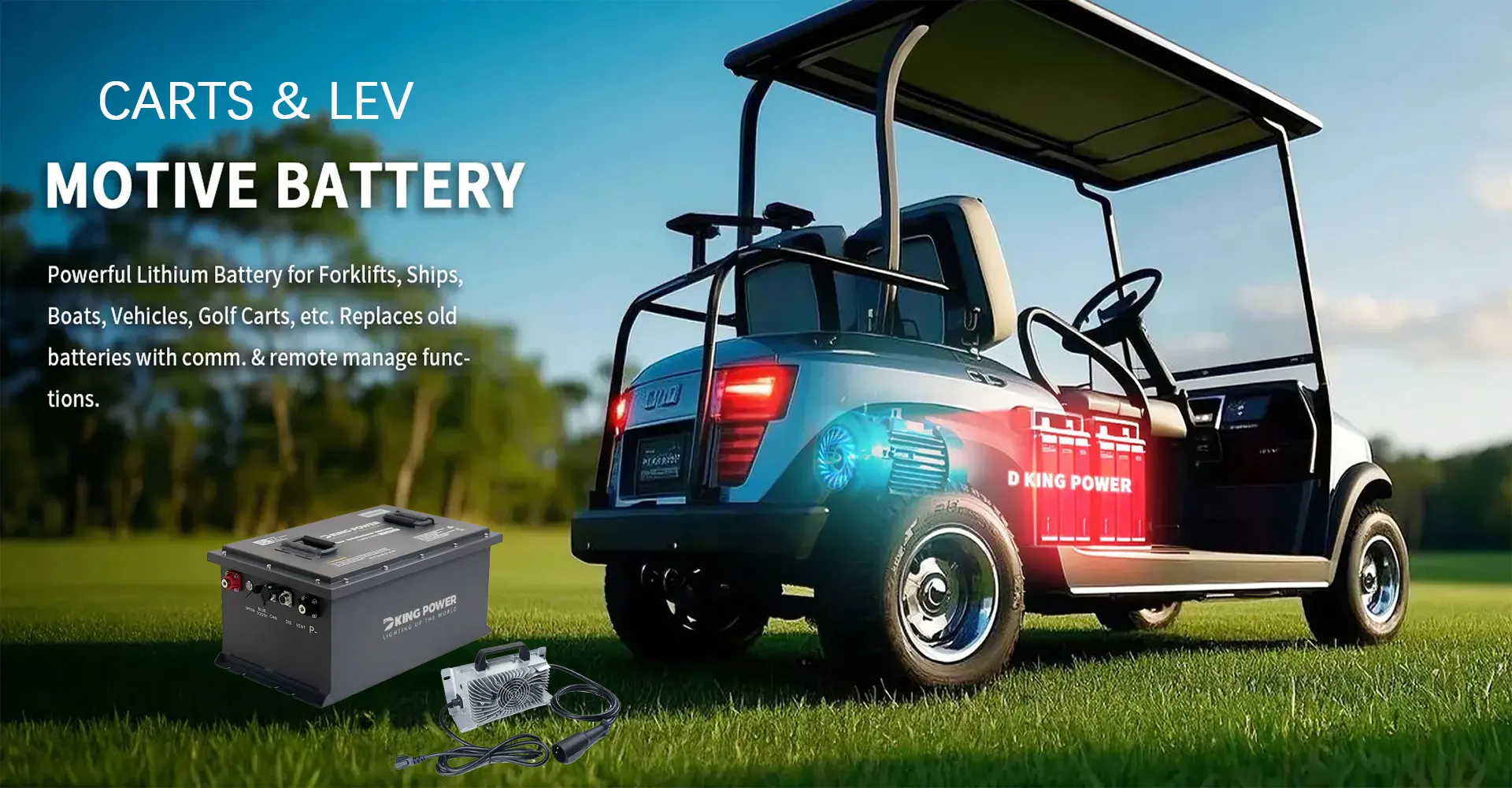 CARTS & LEV MOTIVE BATTERY